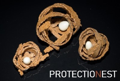 Screenshot (842).jpg